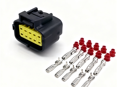 10 Pin Plug and Socket